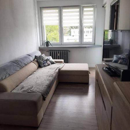 Apartament Komfortowy - W Pelni Wyposazony - Spaceapart Lägenhet Jelenia Góra Exteriör bild
